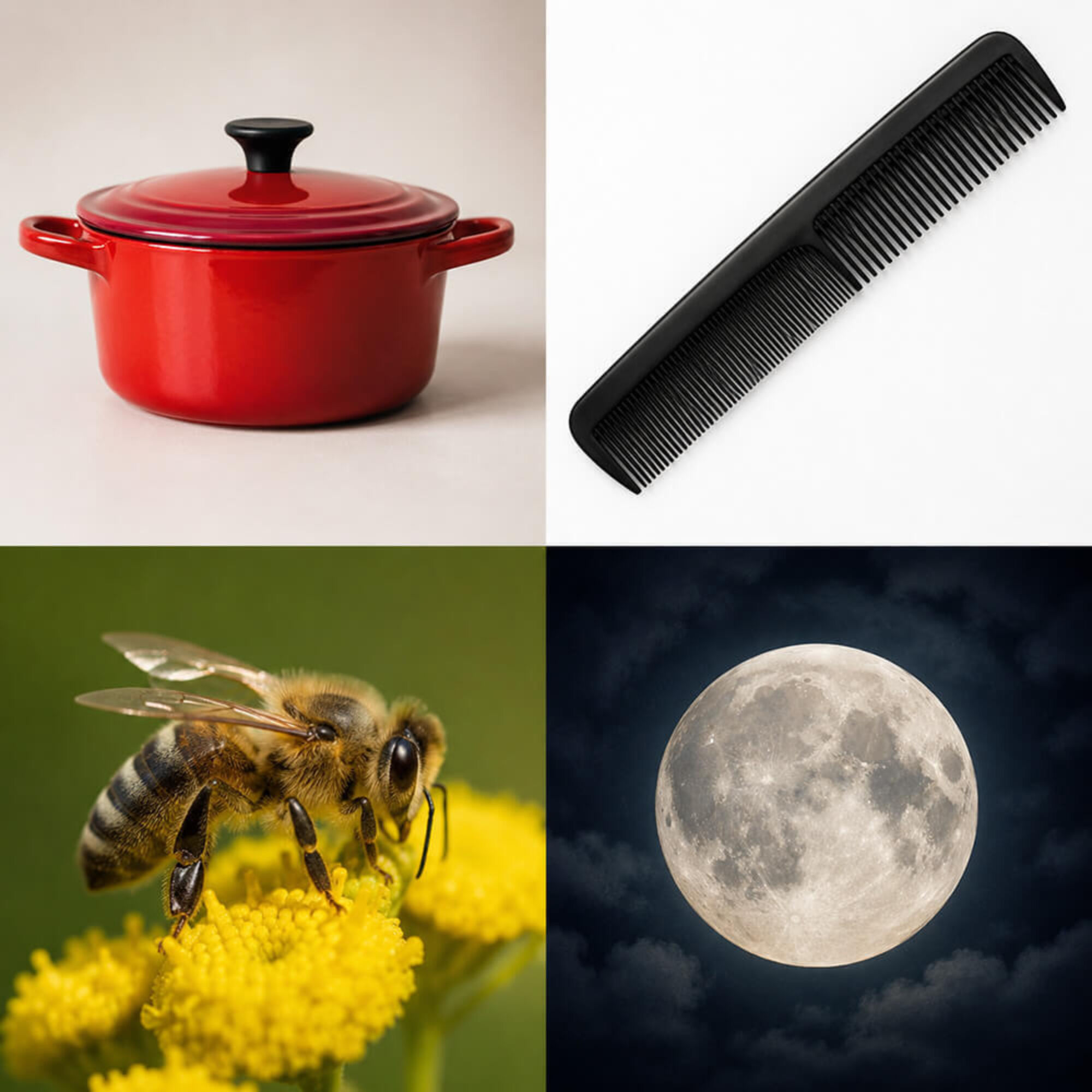 Picture word puzzle, answer: Honey