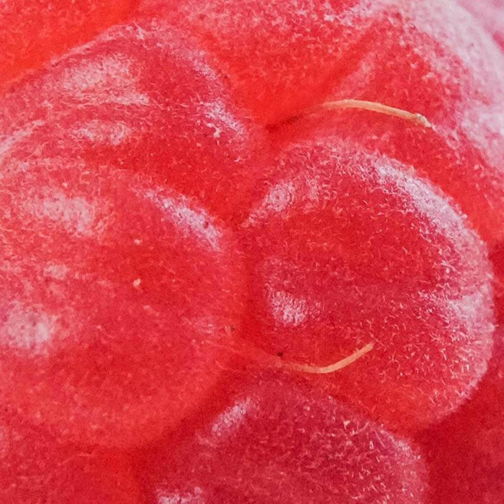 Close up 44 q