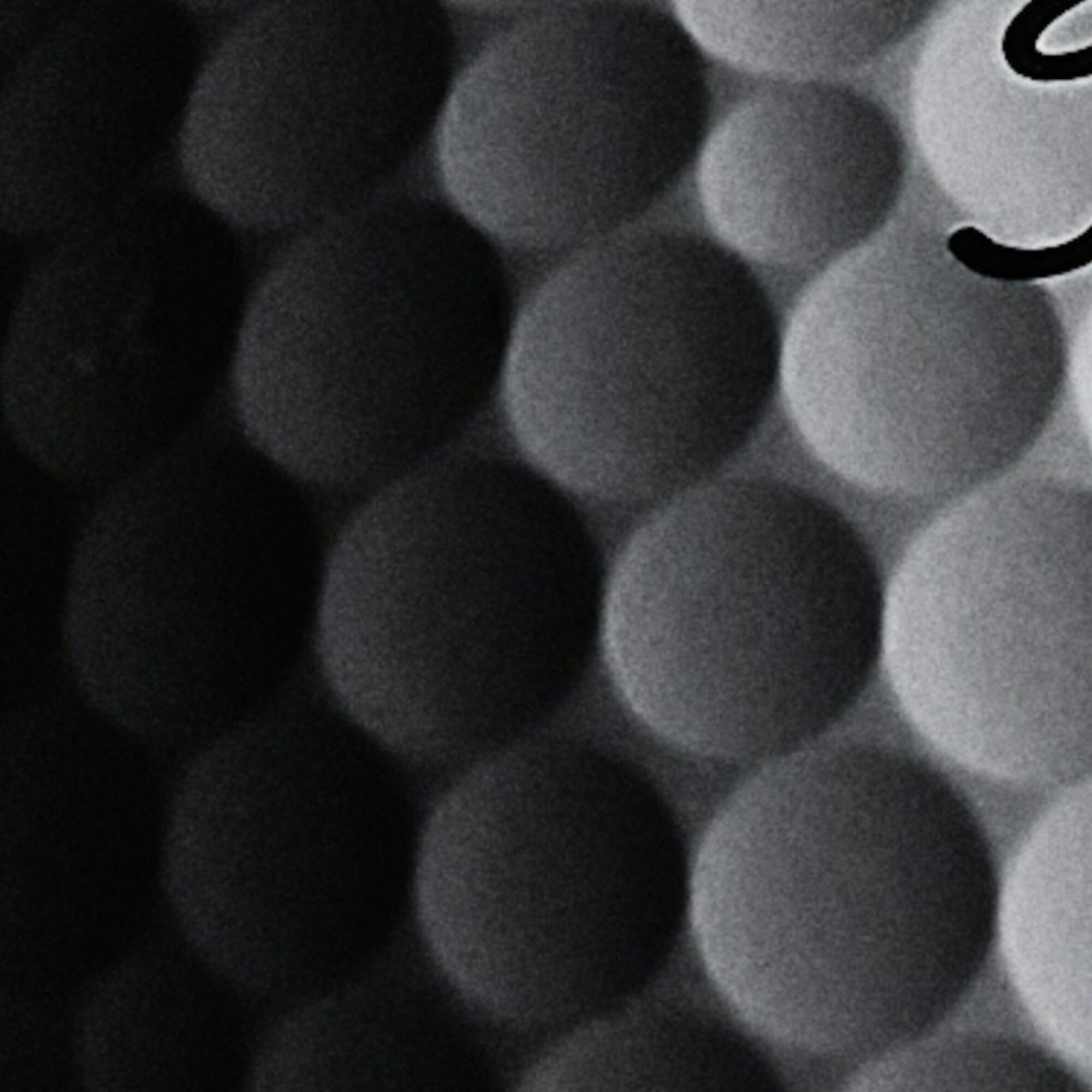Close up 54 q